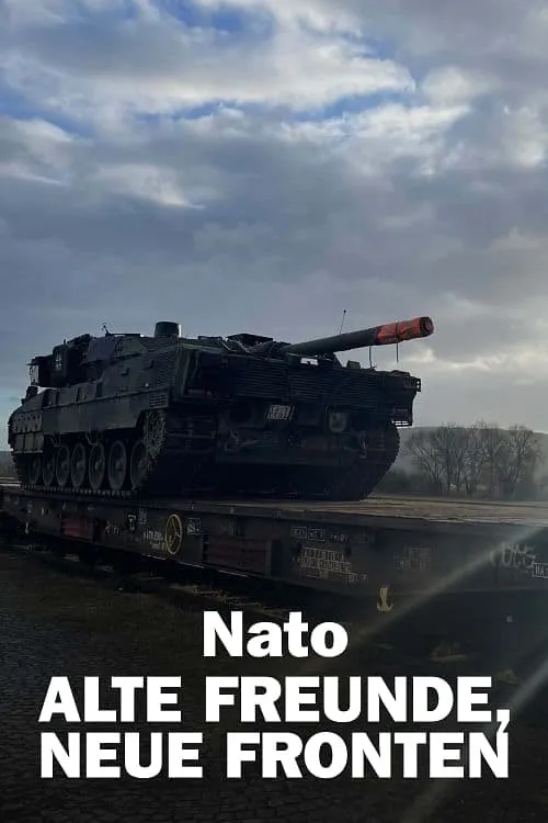 Nato – Alte Freunde, neue Fronten