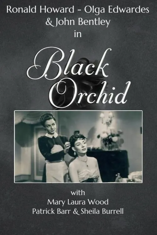 Black Orchid (movie)