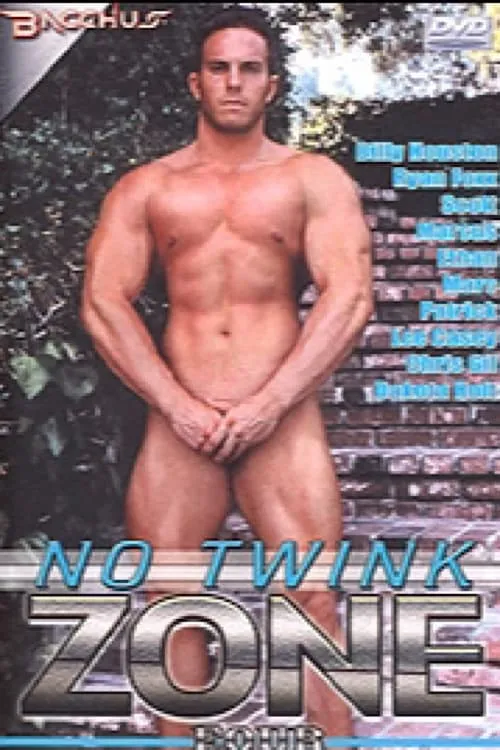 No Twink Zone 4 (movie)