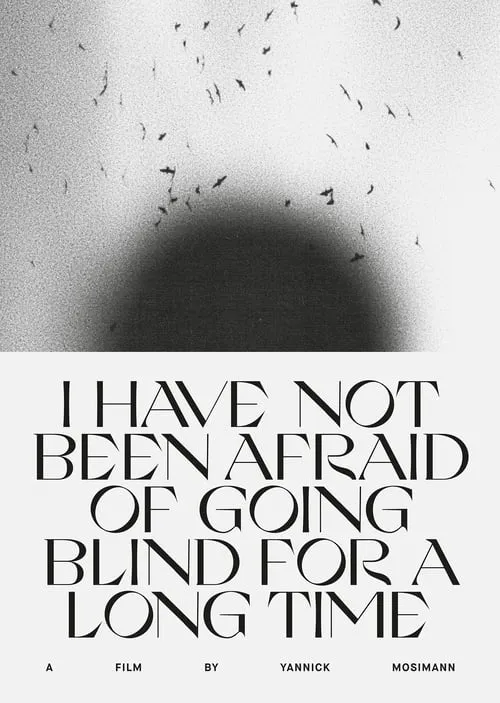 I HAVE NOT BEEN AFRAID OF GOING BLIND FOR A LONG TIME (фильм)