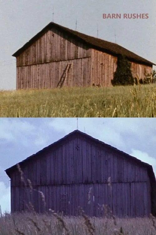 Barn Rushes (movie)