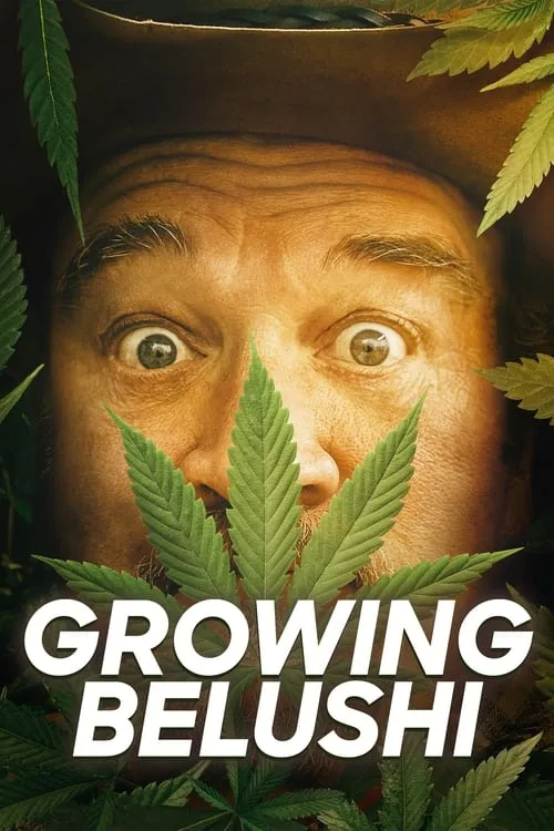 Growing Belushi (сериал)