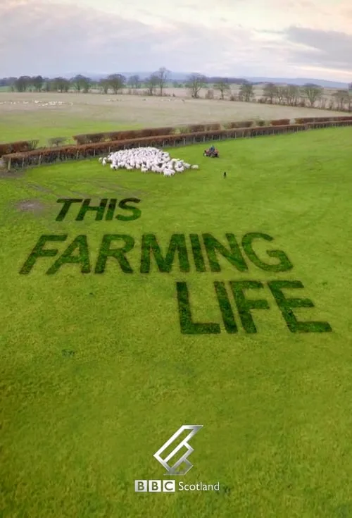 This Farming Life (сериал)