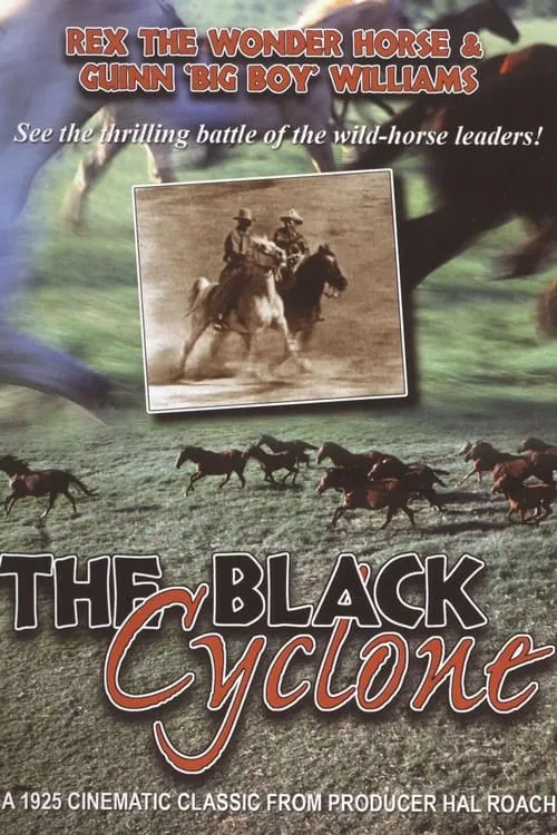 Black Cyclone (movie)