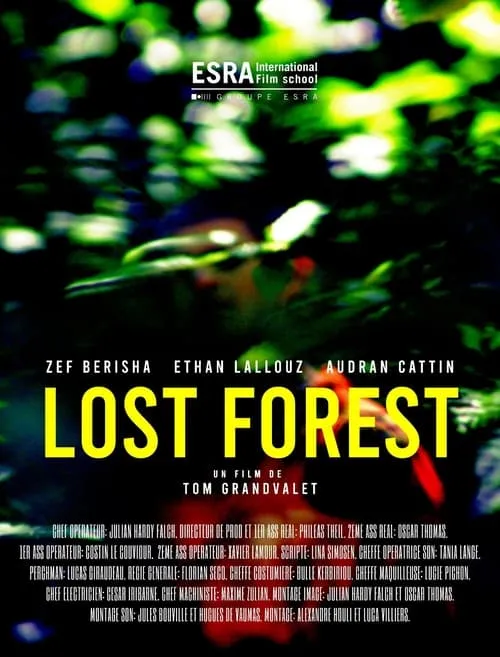 Lost Forest (movie)