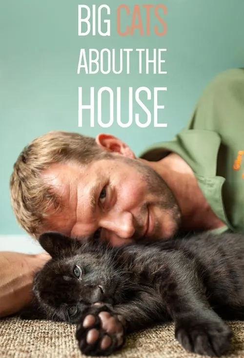 Big Cats About The House (series)