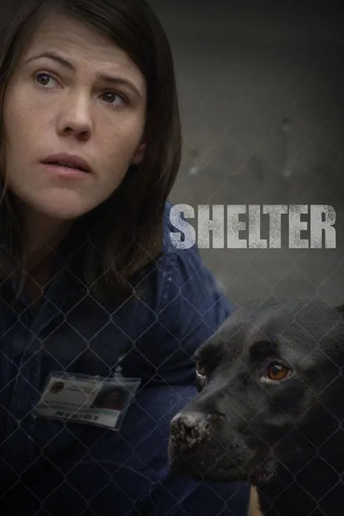 Shelter (movie)