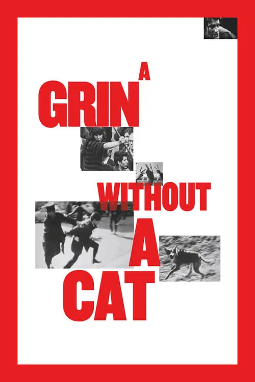 A Grin Without a Cat (movie)