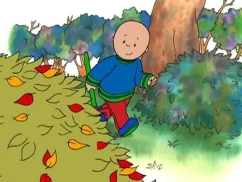 Caillou Rakes the Leaves