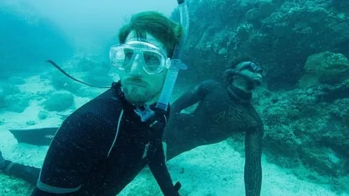 Shark Swarm Freedive