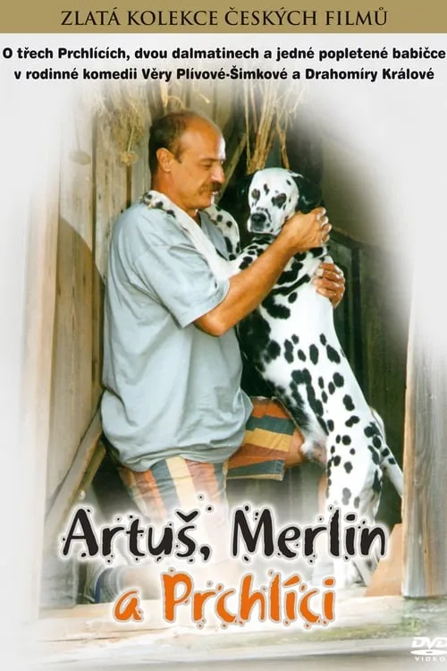 Artuš, Merlin a Prchlíci (movie)