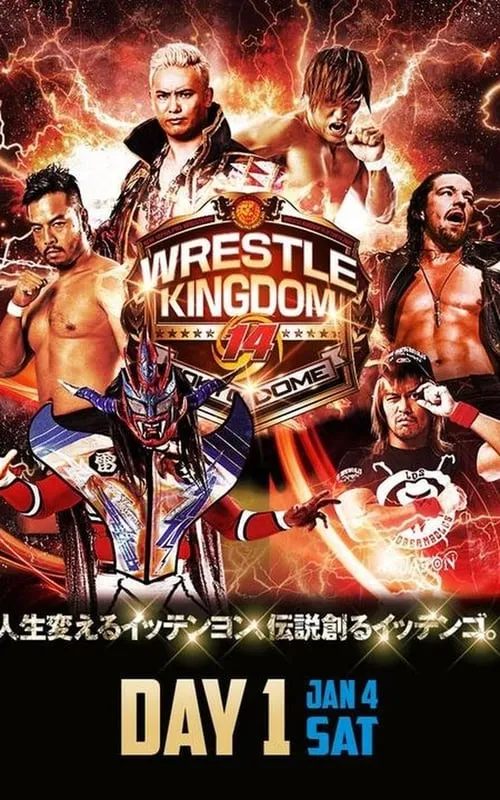 NJPW Wrestle Kingdom 14: Night 1 (фильм)