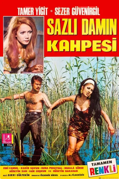 Sazlı Damın Kahpesi (movie)