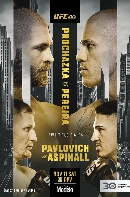 UFC 295: Prochazka vs. Pereira (movie)