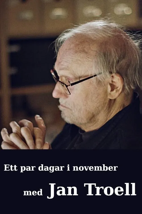 Ett par dagar i november med Jan Troell (movie)