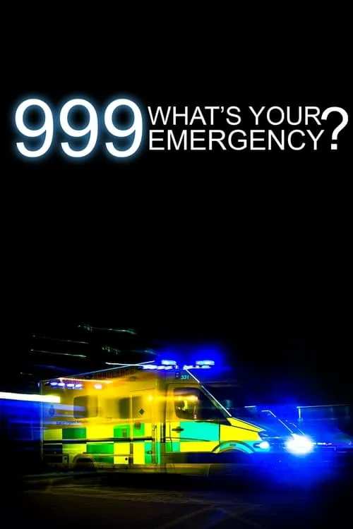 999: What's Your Emergency? (сериал)