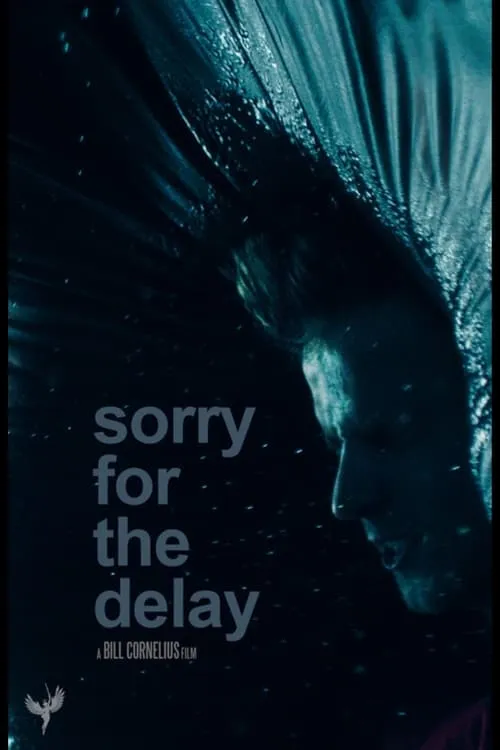 Sorry for the Delay (movie)