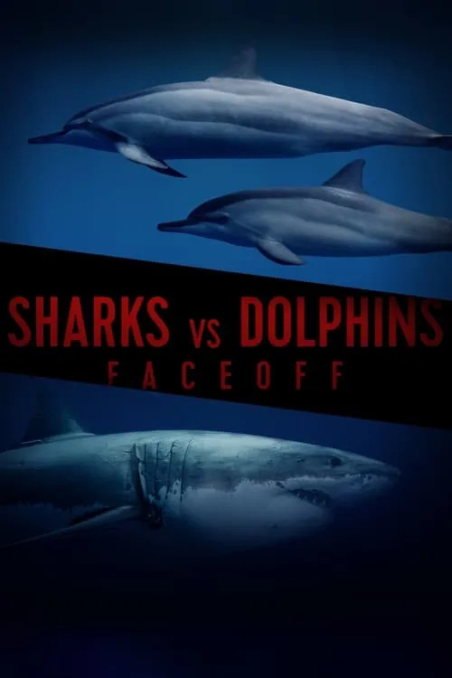 Sharks Vs. Dolphins: Face Off (movie)