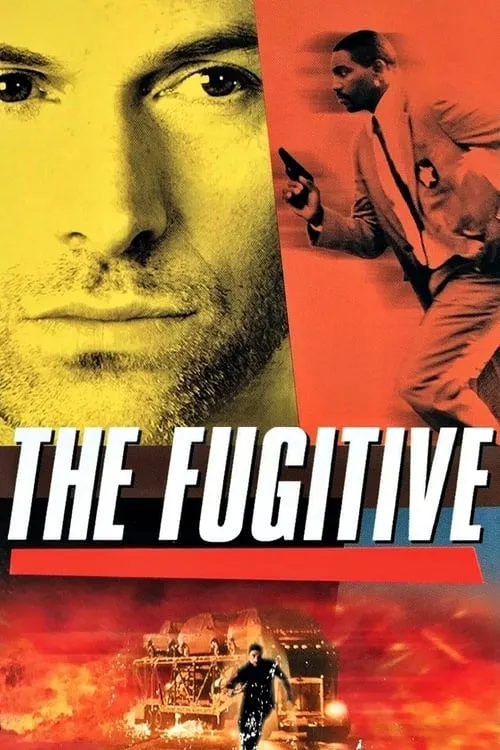 The Fugitive (series)