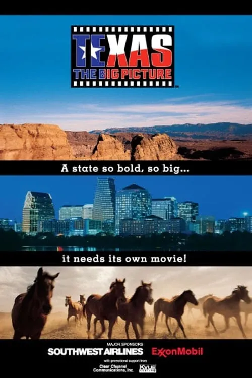 Texas: The Big Picture (movie)