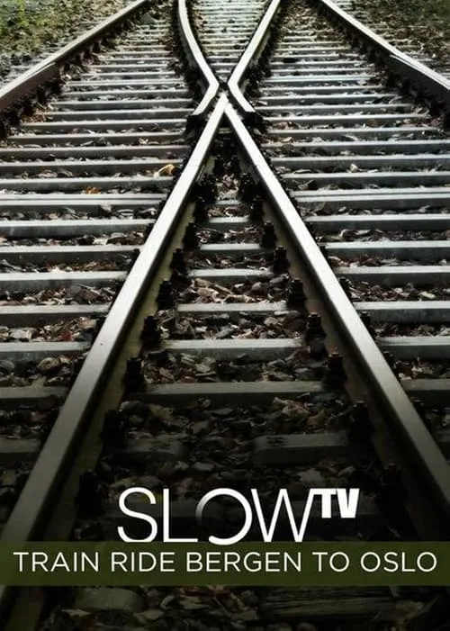 Slow TV: Train Ride Bergen to Oslo (movie)