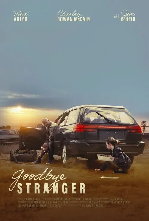 Goodbye Stranger (movie)