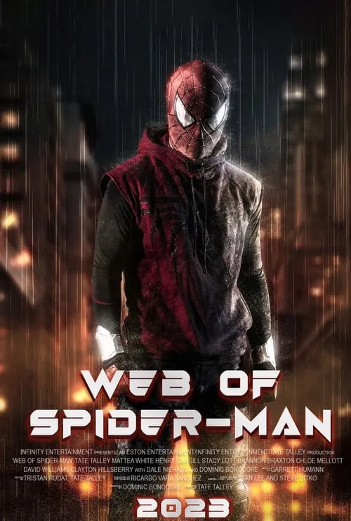 Web of Spider-Man (сериал)