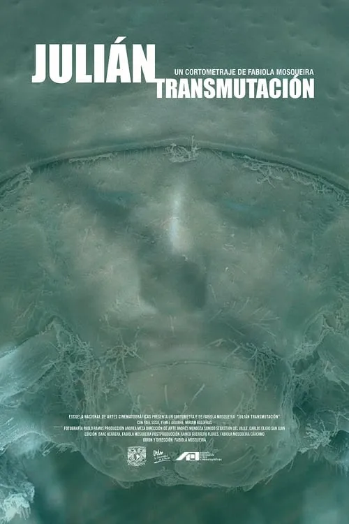 Julián (Transmutación) (movie)