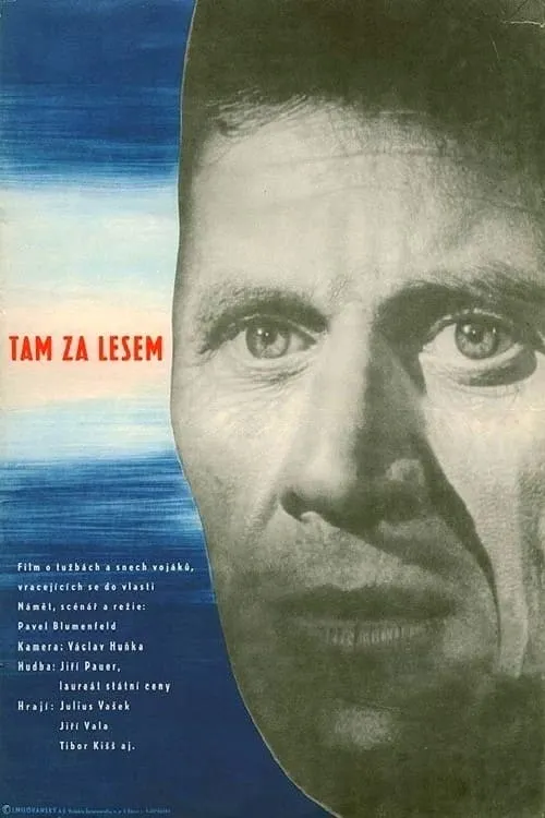 Tam za lesem (movie)