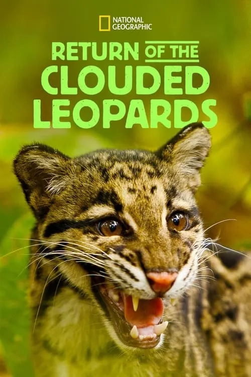 Return of the Clouded Leopards (movie)