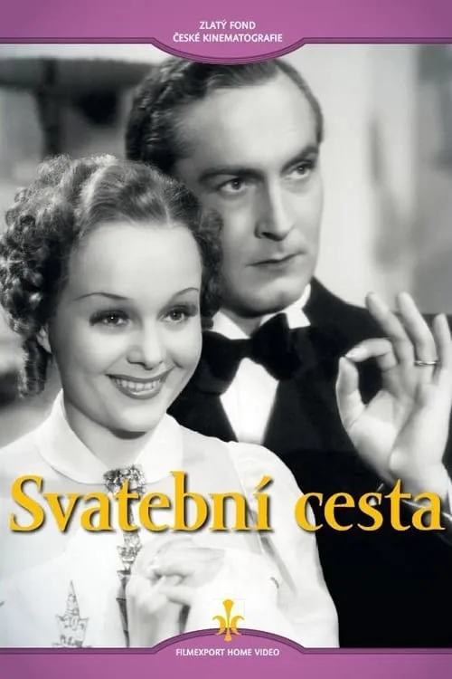 Svatební cesta (movie)