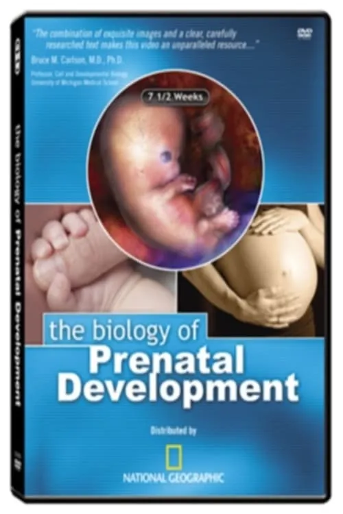 The Biology of Prenatal Development (movie)