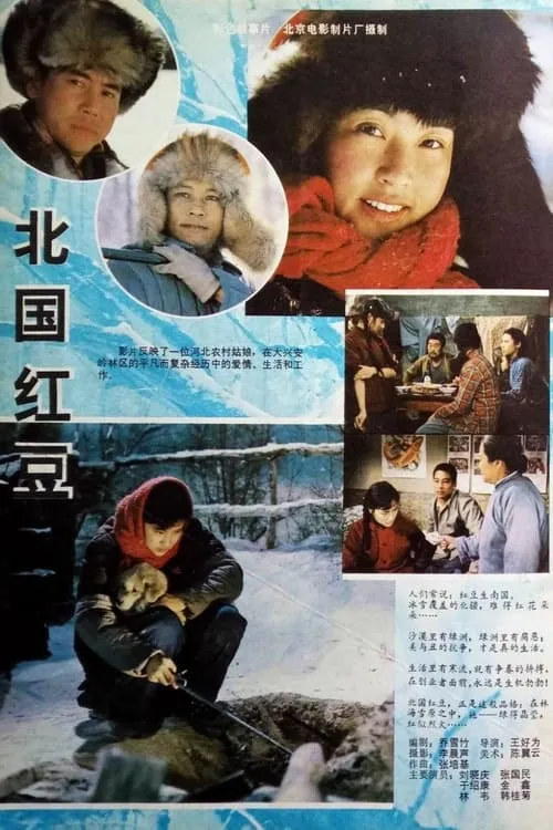 Bei guo hong dou (movie)