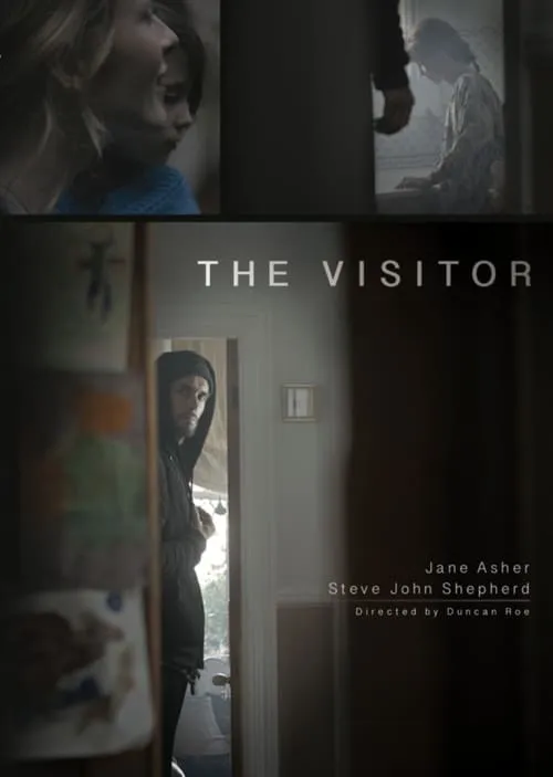 The Visitor (фильм)