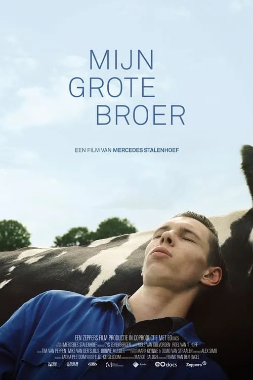 Mijn grote broer (фильм)