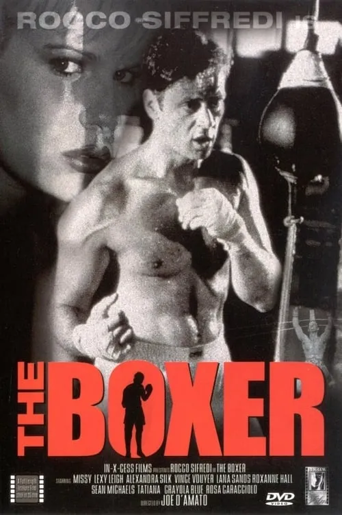 The Boxer (фильм)