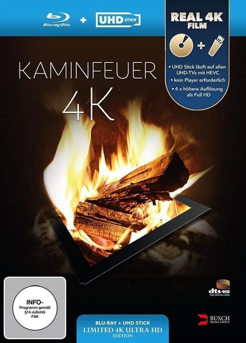 Kaminfeuer 4K (movie)