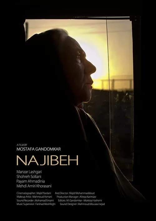 Najibeh (movie)