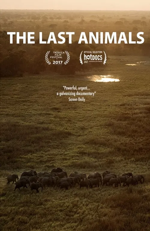 The Last Animals (фильм)