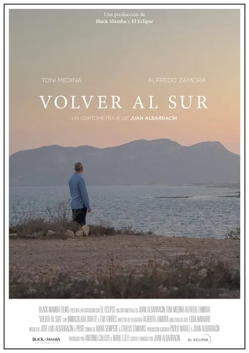 Volver al sur (movie)