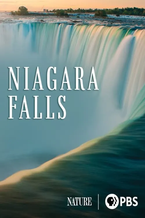 Niagara Falls (movie)