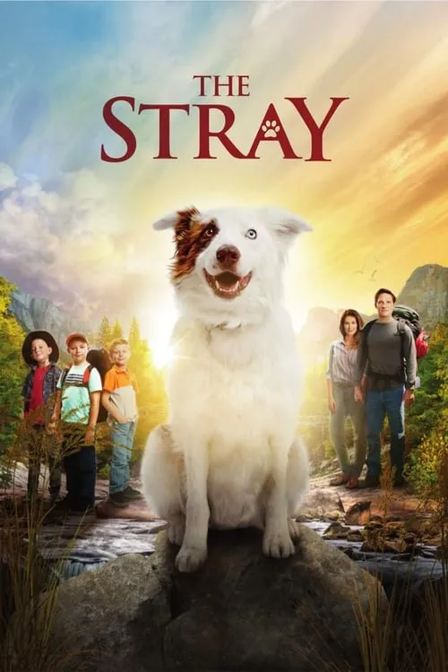 The Stray (movie)
