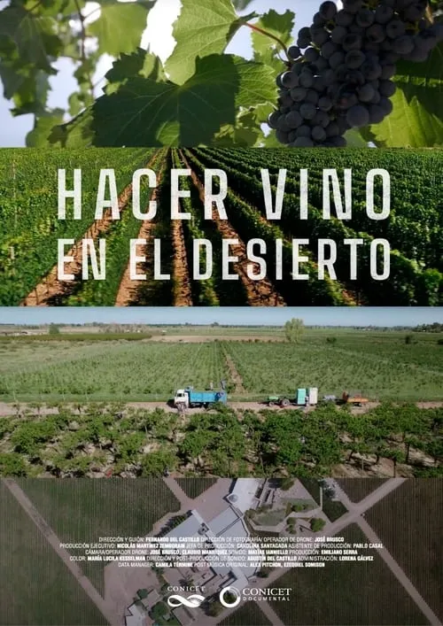 Hacer vino en el desierto (movie)