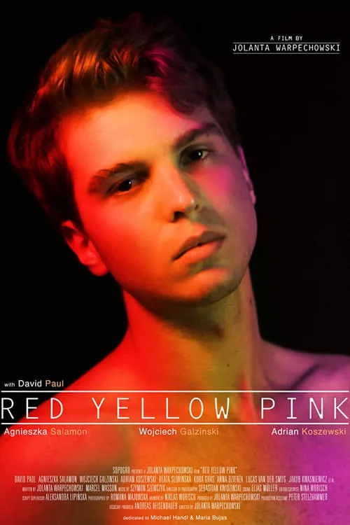 Red Yellow Pink (movie)