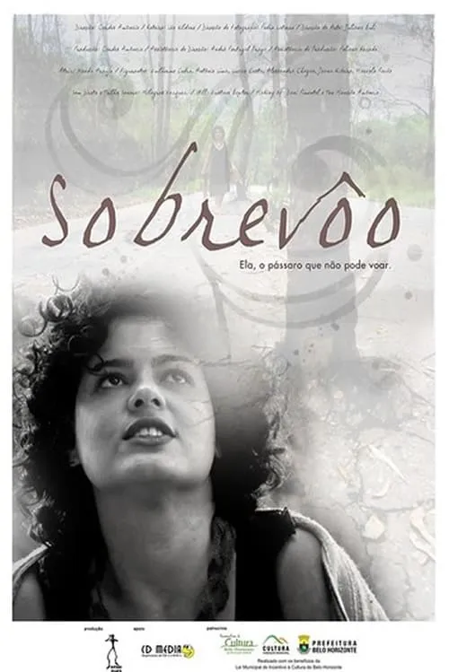 Sobrevôo