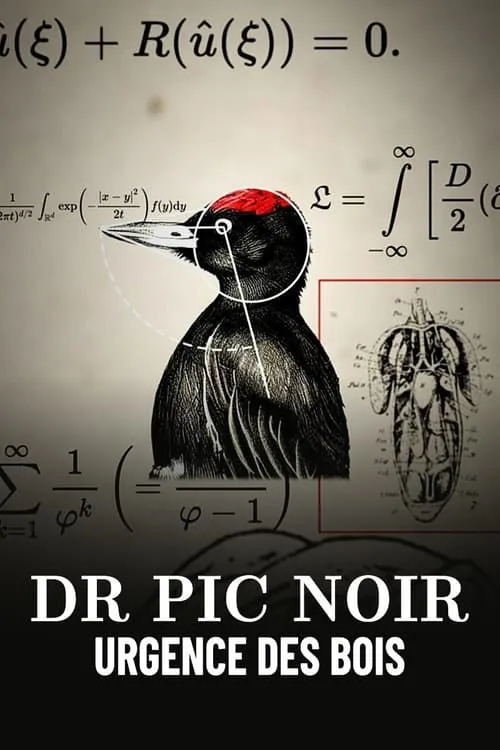 Dr Pic Noir, urgence des bois (movie)