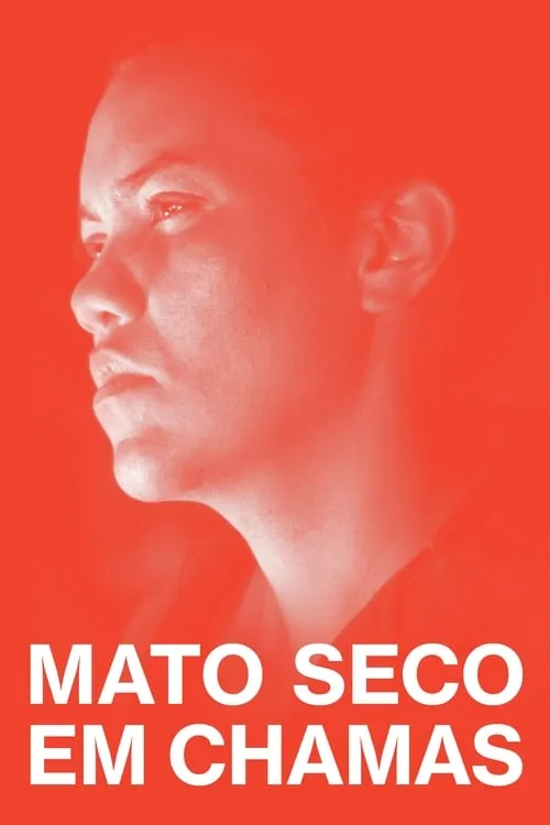 Mato Seco em Chamas (фильм)