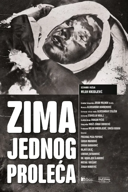 Zima jednog proleća (фильм)