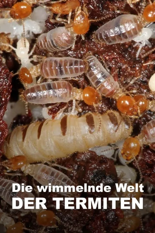 The World According to Termites (movie)