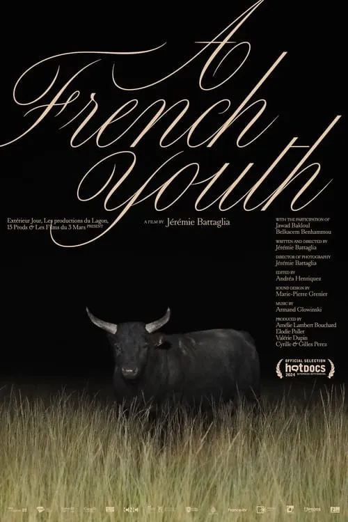 A French Youth (movie)